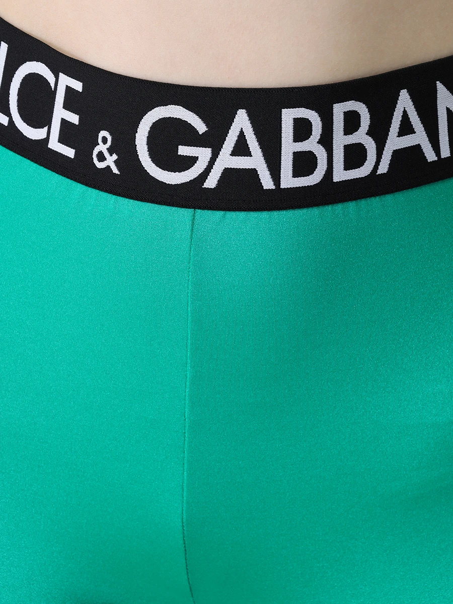 Леггинсы спортивные DOLCE & GABBANA FTB5TT FUGLG V0396, размер 40, цвет зеленый - фото 5