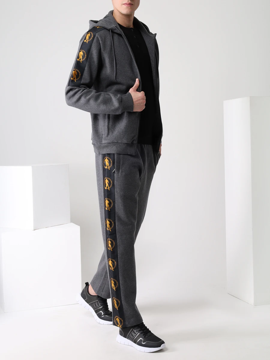 

Брюки из хлопка и шерсти, Серый, C121880M4326