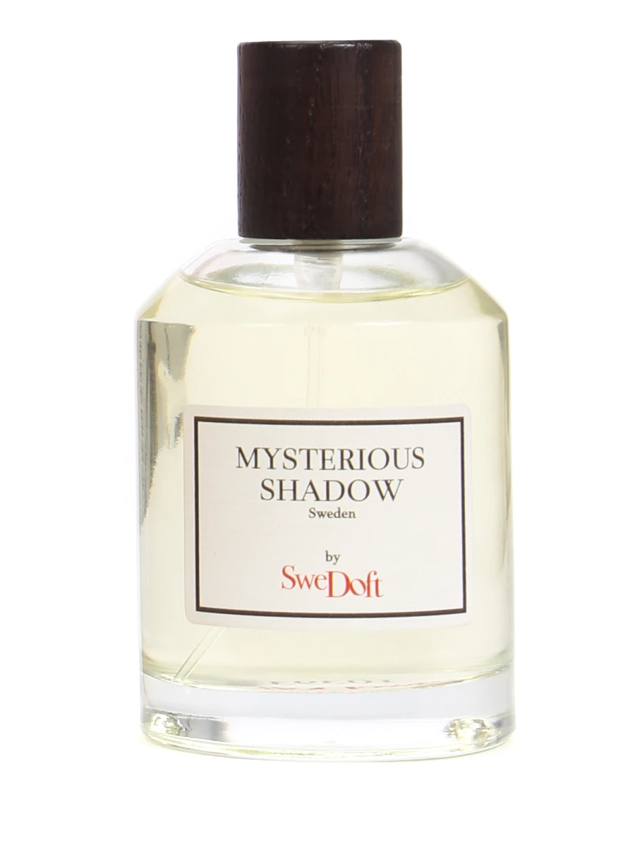 

Парфюмерная вода Mysterious shadow, Mysterious shadow EDP 100 мл