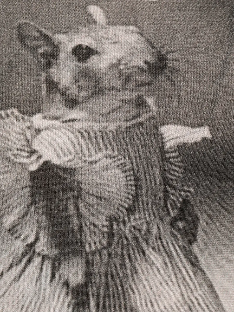 Футболка хлопковая ANDREA CAMPAGNA Mouse Серый  Фото 3