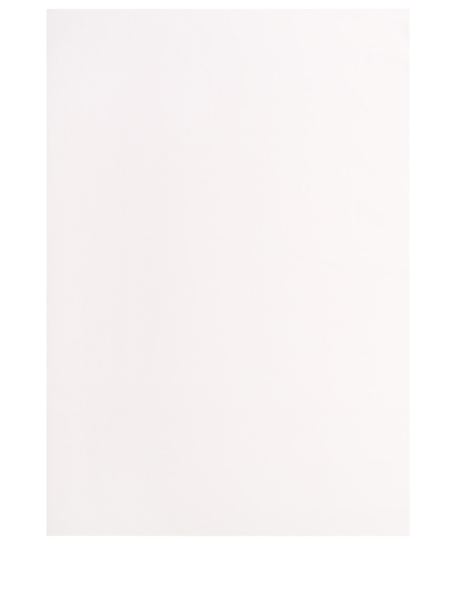 Простыня хлопковая FRETTE
