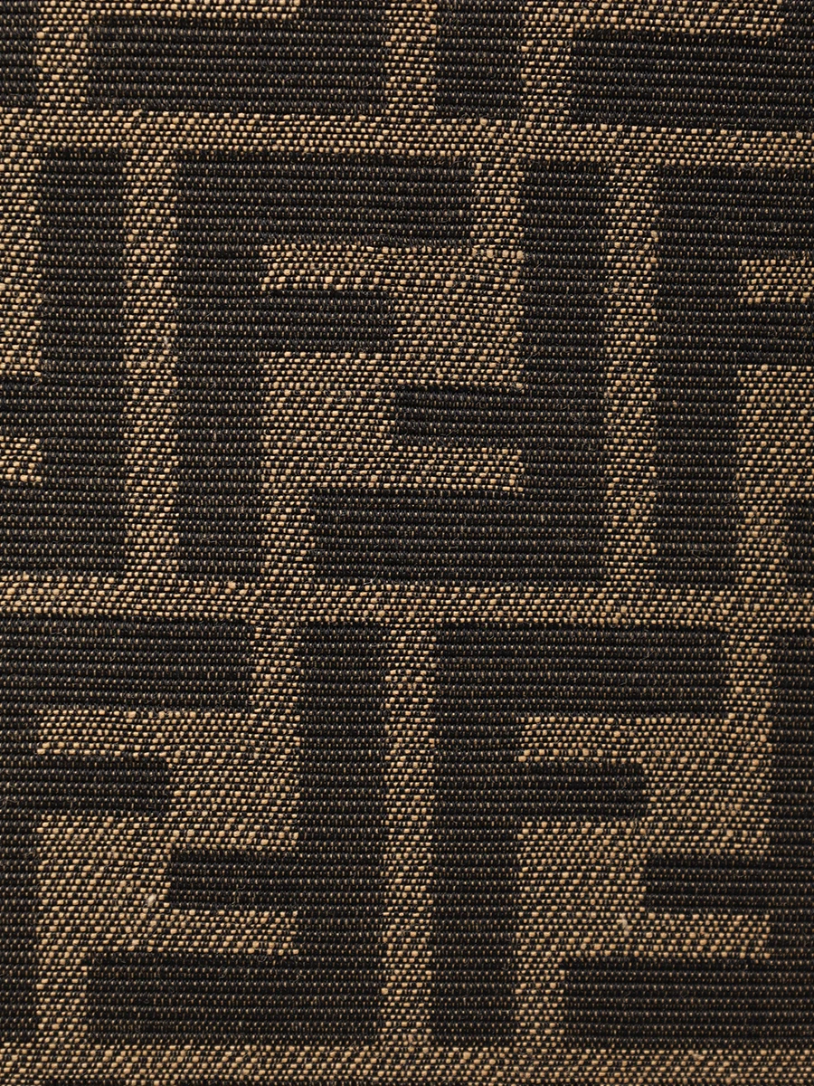 Пуховик с принтом FENDI FAN151 AWYC F118W Коричневый  Фото 6
