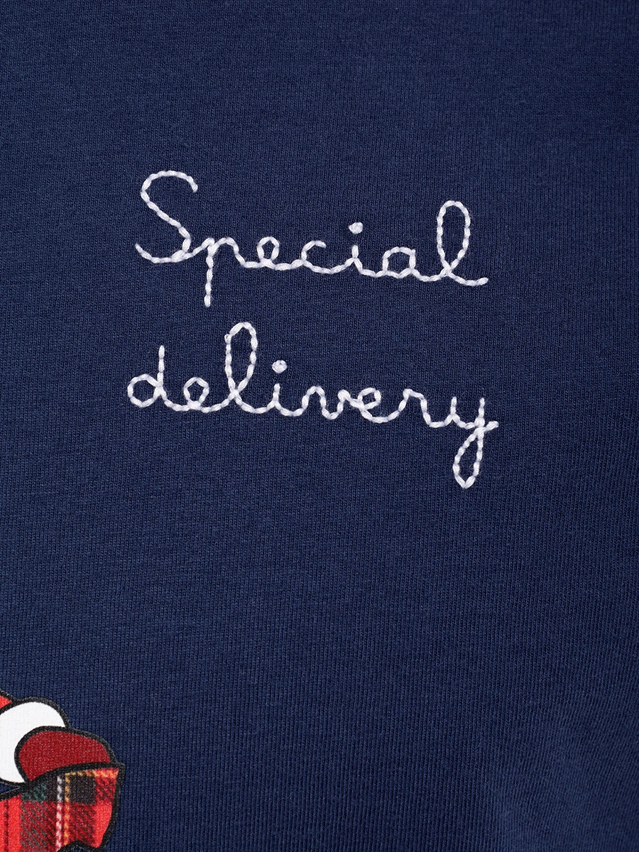 

Футболка хлопковая, Синий, ARNOTT - SPECIAL DELIVERY 61 EMB
