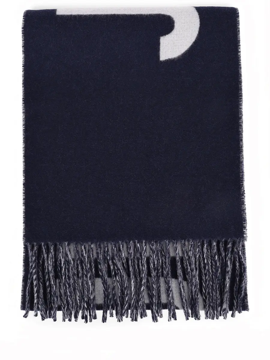 Шарф шерстяной JACQUEMUS 22HACU00435AOT4001 380 Синий 