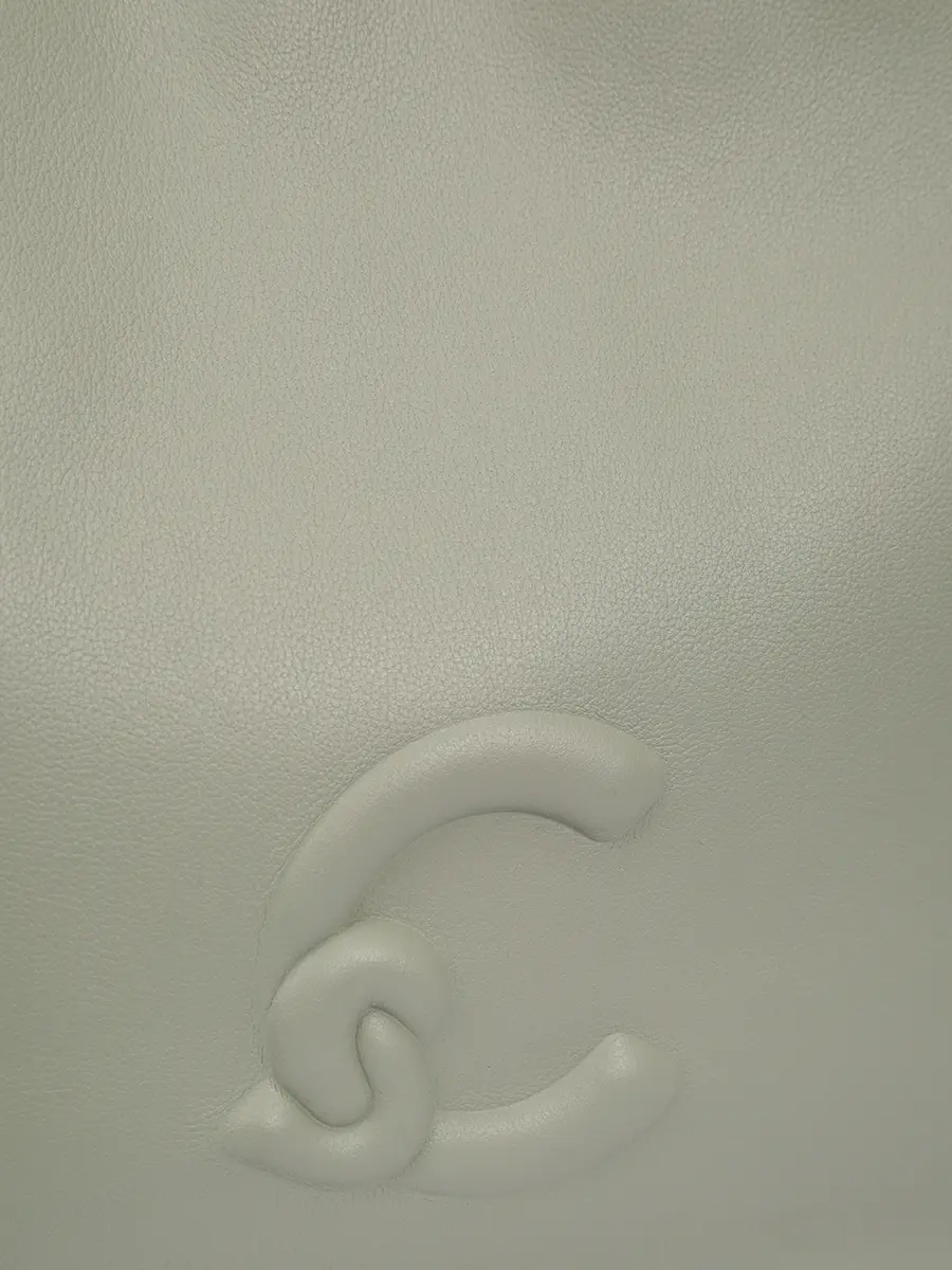 Сумка кожаная Dulse COCCINELLE E1 SS5 13 01 01/G77 Зеленый  Фото 5