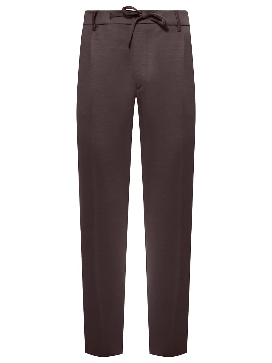 

Брюки The Travel Fit шерстяные, Коричневый, RD1623-SPIAGGIA 1P