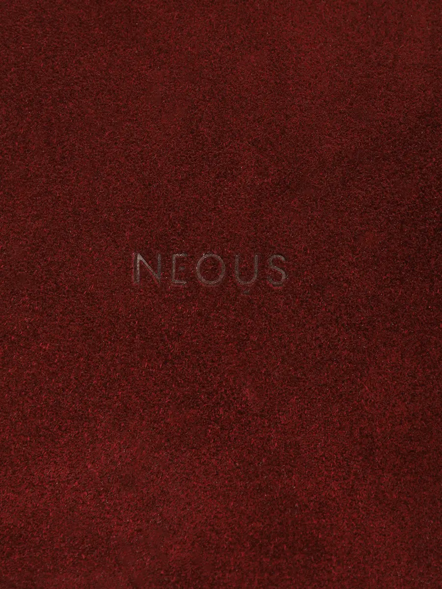 Сумка из кожи и замши NEOUS 00051B09A09 BERENICES Бордовый  Фото 5