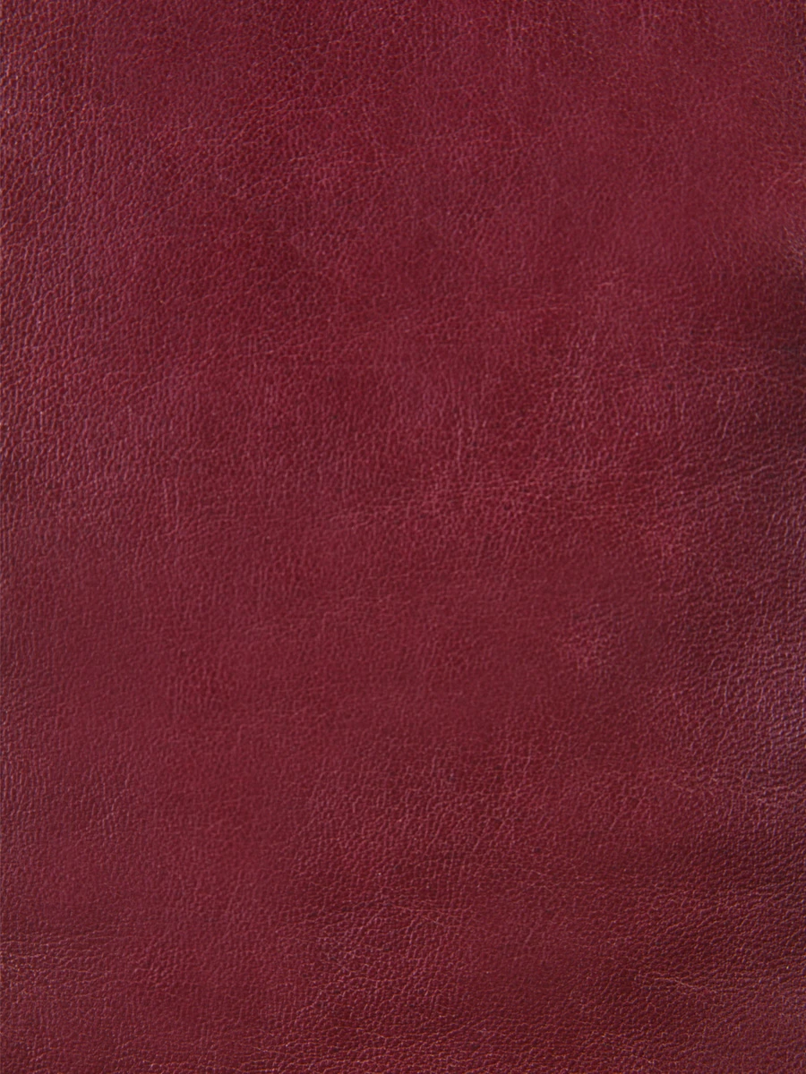 Перчатки кожаные удлиненные AGNONA 8998/205 Бордовый Бордовый  Фото 4